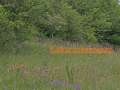 DreilaendereckI014