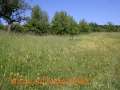 DreilaendereckI030