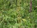 DreilaendereckI058