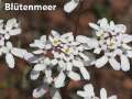 DreilaendereckI118
